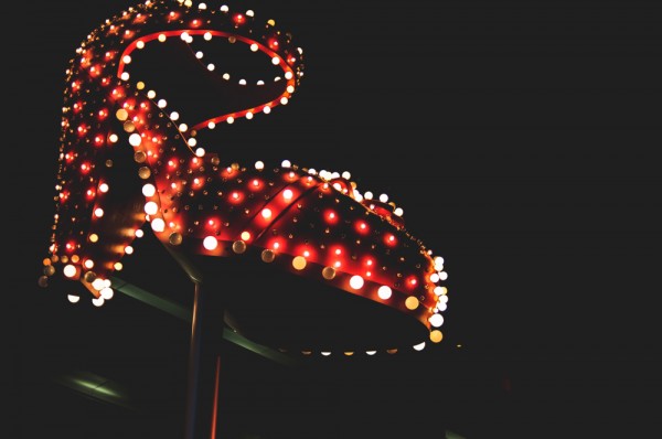 A neon high-heel (Photo: Adam Nowek)