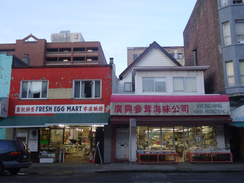 Chinese grocery and herbal shops (Photo: Karin de Nijs)